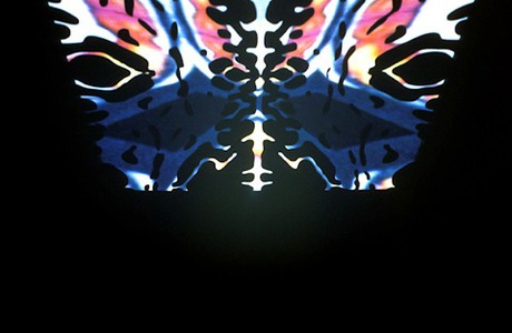 butterfly.jpg