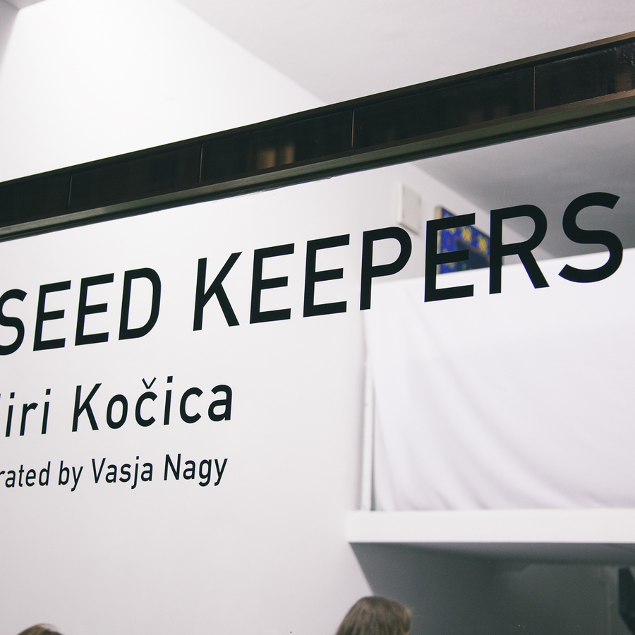 seedkeepers_skica (2/11)
