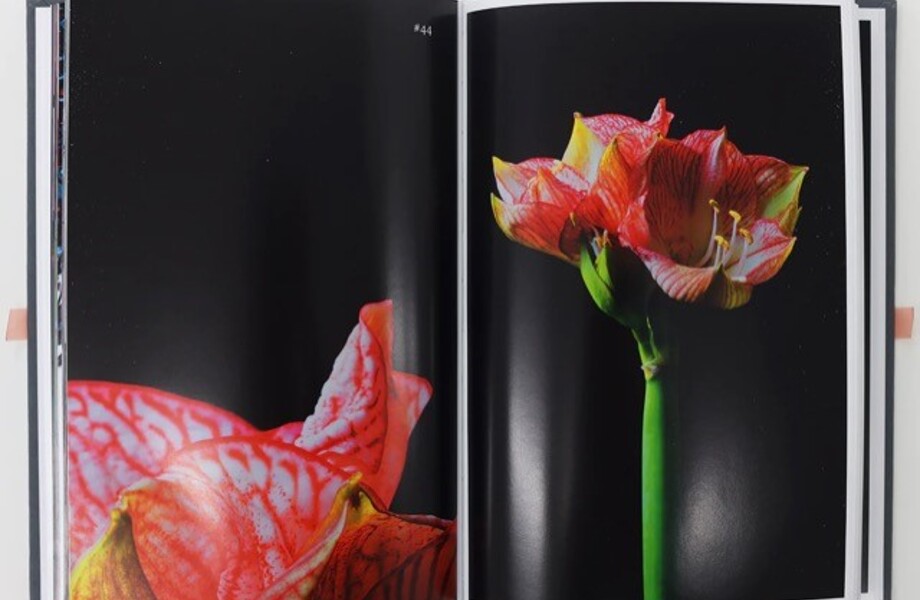 Perfektionismus: 100 Flowers – Gespräch mit der Fotografin Tanja Lažetić